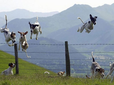 Air Higher