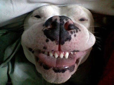 Smile! You're on Camera!